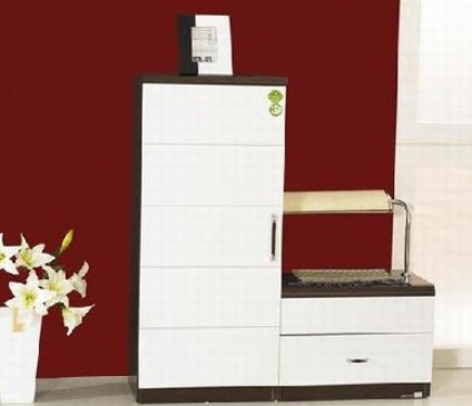 客廳鞋櫃的擺放風水知識