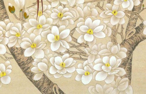 屬猴的最旺的手機號 生肖猴的吉祥數字