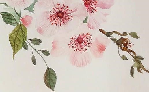 三代屬牛必走一個是真的嗎？一家三口都屬牛好不好