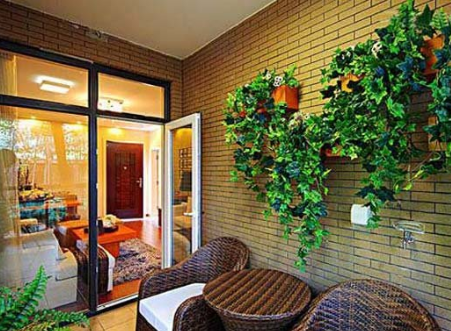 屋內種盆栽也要講究的風水