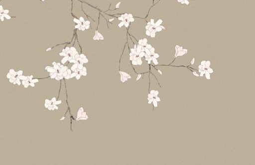 女命午時出生好不好 個性不服輸