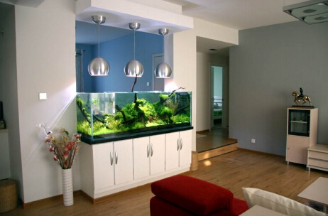 魚缸在家中的擺放講究