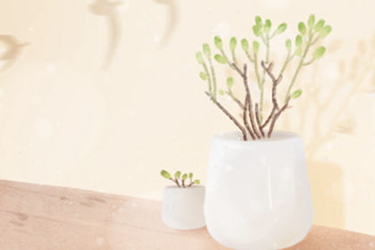 喬遷新居有啥風水宜忌要注意？