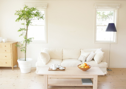 家居植物應如何擺放