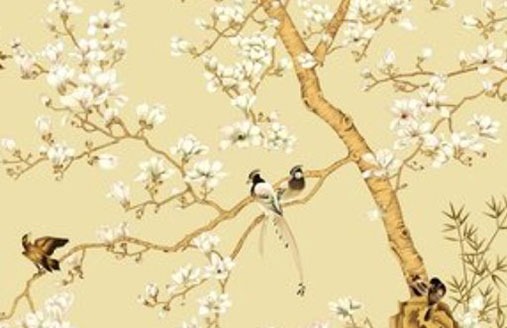 車牌號尾號52好不好 選好帶財運的靚號