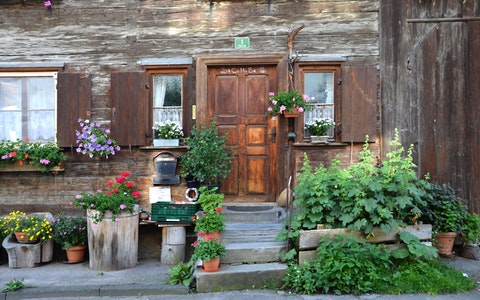 進門鞋櫃上放什麼招財?這三種是明智之選!