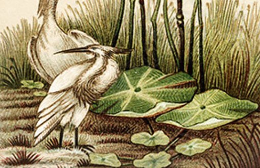 2222手機號為啥沒人用 風水意念好電話號碼