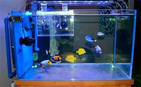 怎麼利用「水」來改善家居風水問題呢