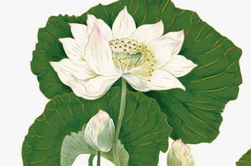 時辰出生註定發財 午時男孩有男子氣概