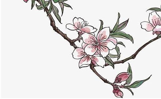 2021年最佳懷孕月份 屬虎人非常有責任心