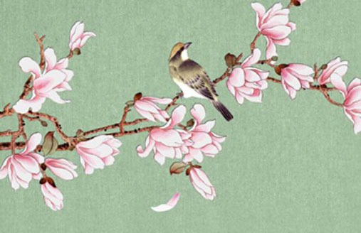 汽車選車牌號有什麼講究 旺運帶財的牌數