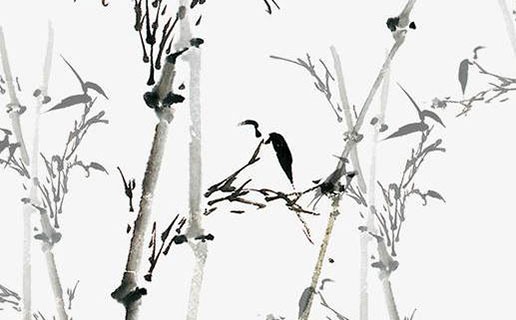 屬兔午時出生的男孩命運 屬兔午時出生女孩命運好不好