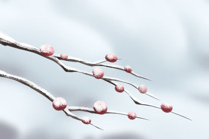 三生三世桃花劫,哪些風水會殃及下一代