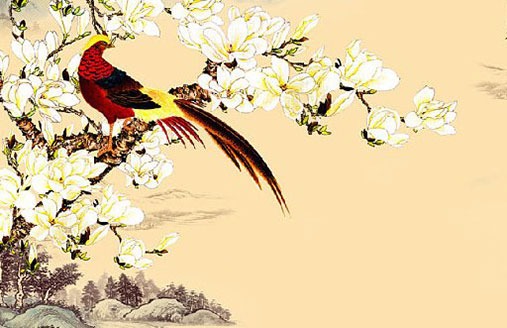 車牌號尾數字母含義 寓意發財三位數車牌號