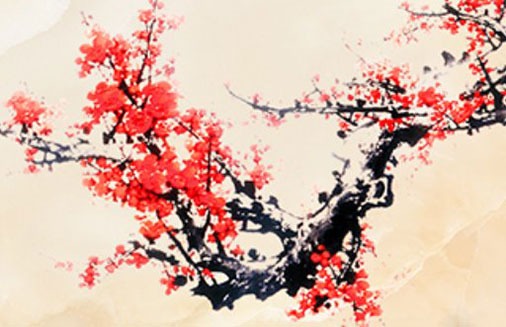 新車車牌怎麼選容易選到好牌 牌數9吉祥尾號