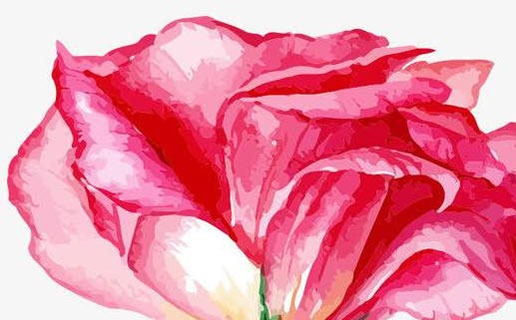 22年的虎寶寶幾月份好 幾月出生的虎寶寶最好命