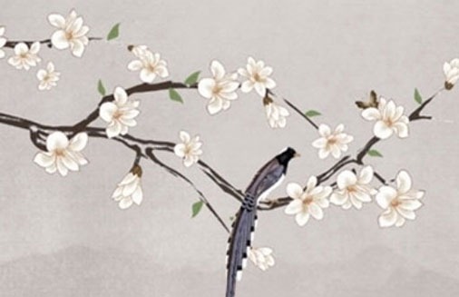 555車牌號最吉利 最准五行解讀最旺牌號