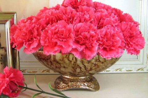 正確的客廳室內的風水擺設