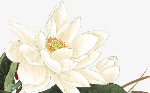 上等命女人的出生月份 農歷十二月出生的女人能旺夫