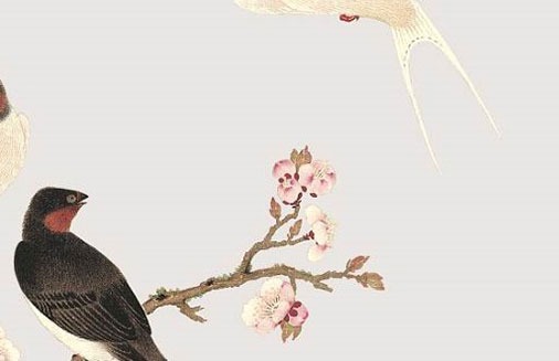 中間是字母的車牌怎麼選 熱門旺婚運車牌號