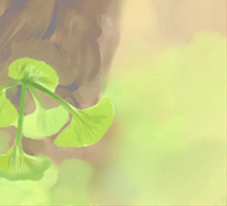 藝術品收藏的風水學