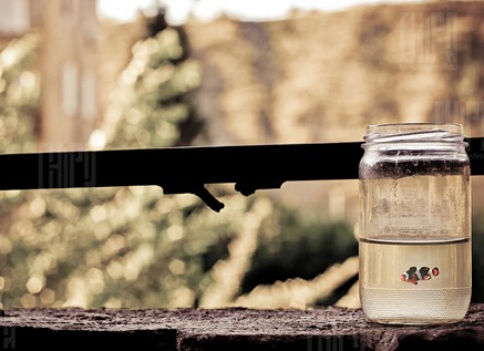 讓病魔遠離家人的風水