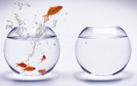 魚缸如何擋煞旺財運?講究的地方可不少