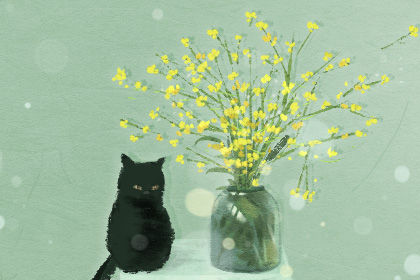 一棵綠蘿七個鬼 養綠蘿會招鬼嗎