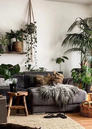 房子太暗住人有什麼影響？住到最後身體不好還沒錢