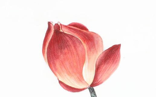 午時出生的女孩命好嗎 午時出生的女孩有什麼樣的性格