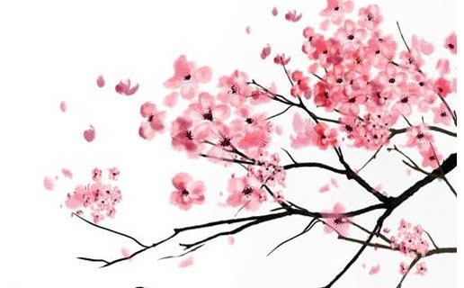 2021年九月出生什麼時候懷孕 九月出生的牛寶寶是什麼命