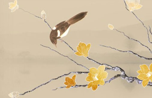 車牌字母結尾算什麼號 車號吉利數字組合分析