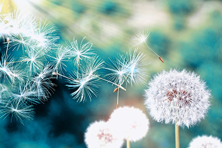 2008年屬鼠的人2021年運程