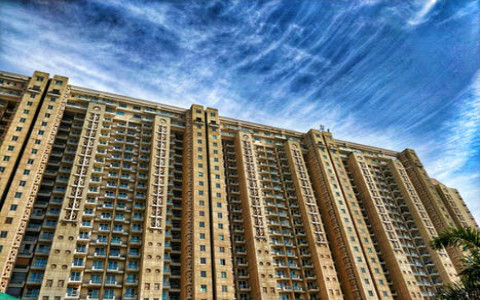 十二生肖選樓層的技巧，打破舊觀念更好運