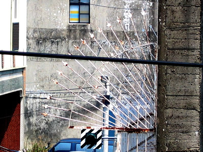 萬箭穿心煞化解方法