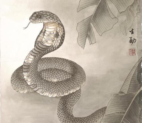 生靈擋路必有緣故 動物擋路的說法