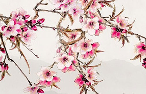 4個數字車牌比3個數字好看 吉祥帶財車牌號