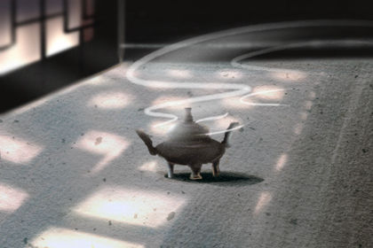 家裡來什麼動物代表財運和吉祥