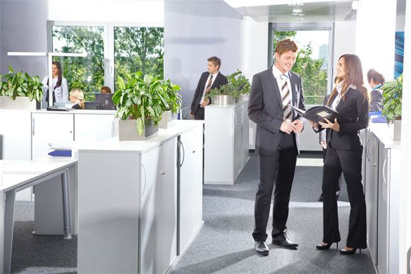 辦公室植物怎麼擺放才能旺事業