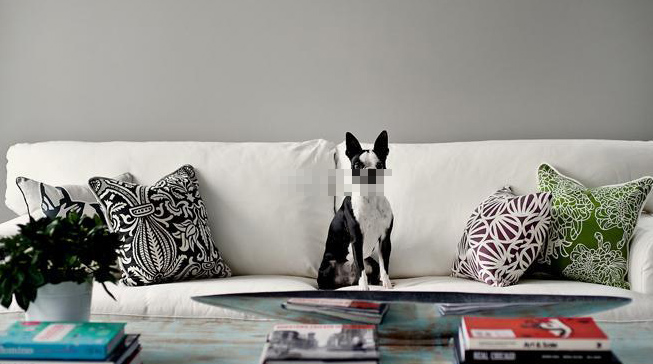 沙發要怎樣的擺放最好