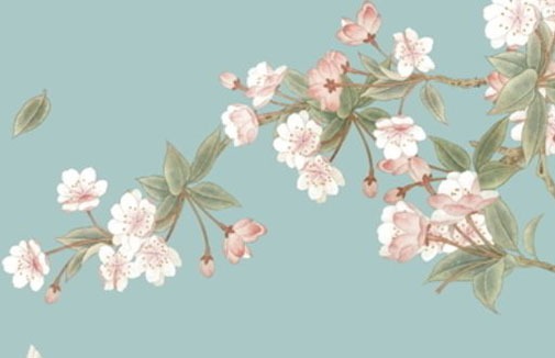 車牌尾號字母代表什麼 寓意幸福平安車牌號碼