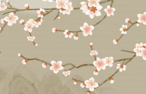 車牌尾號p吉利嗎  催旺運勢的車牌號碼