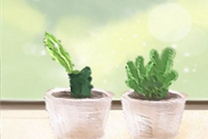 墓地風水:教你如何立碑?