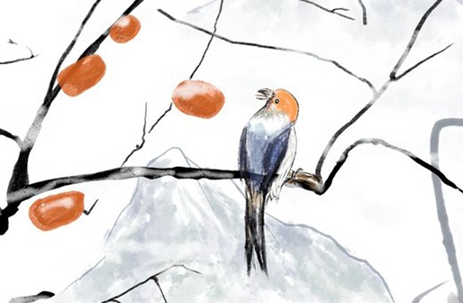 屬牛12月出生的人命運,為何不要臘月牛