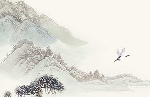 自編車牌號碼怎麼選擇最好 最新旺運牌號推薦