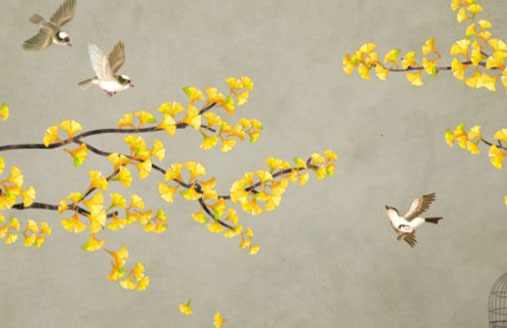 車牌號尾號52好不好 選好帶財運的靚號