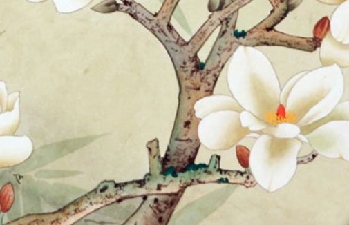 手機號數字風水 159這個數字吉不吉利