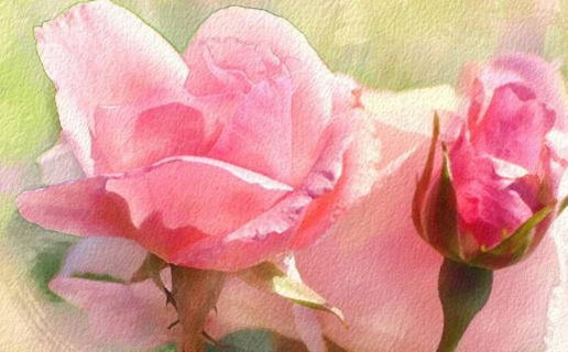 屬鼠的午時出生的女命 午時出生的女孩有很強的貴人運