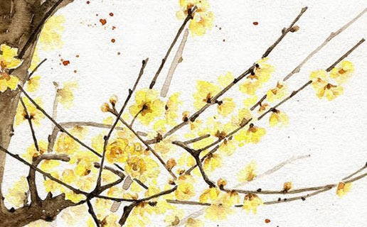 2021年牛寶寶生辰八字 農歷五月出生的牛寶寶運勢如何