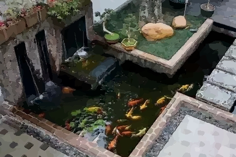 魚池怎麼修風水好